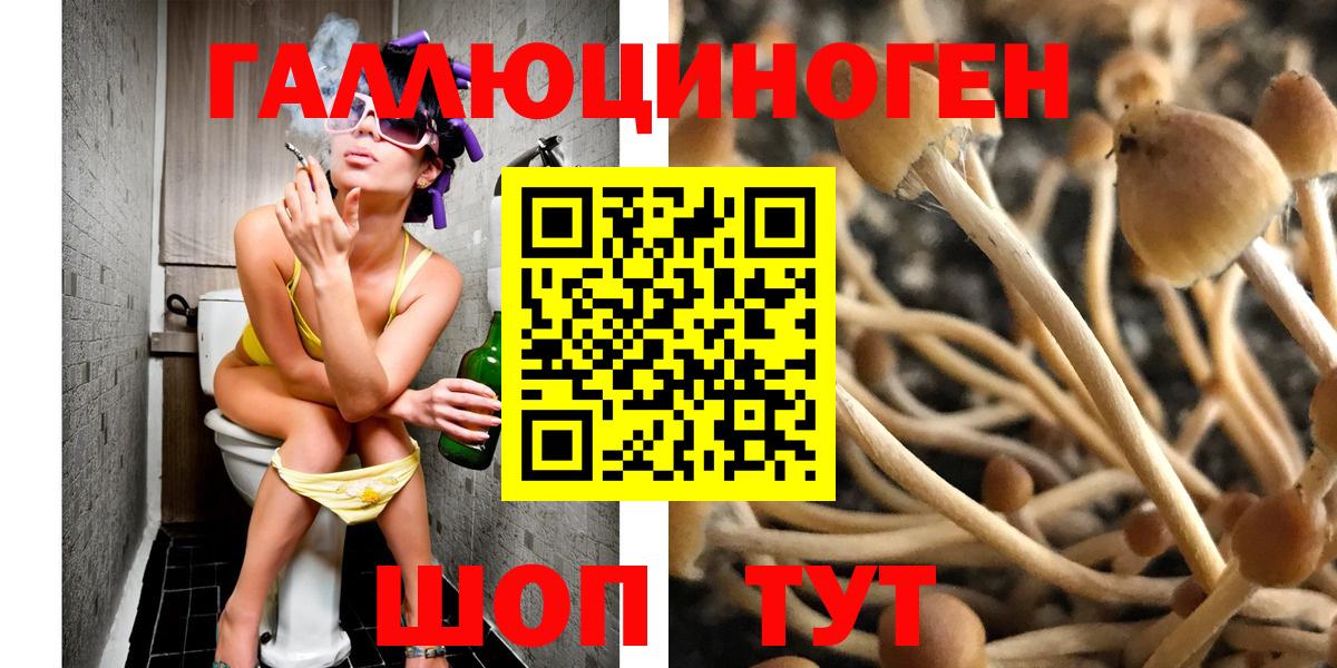 Галлюциногенные грибы прущие грибы  Вход с VPN  купить наркоту  Рубцовск 
