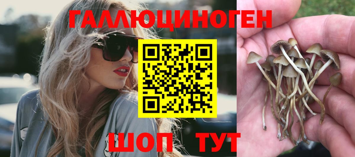 Галлюциногенные грибы Magic Shrooms Рубцовск